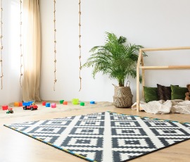 Bebek Odasında Yetiştirebileceğiniz Bitkiler