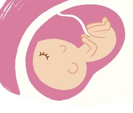 Bebeğinizin Hafta Hafta Yolculuğu